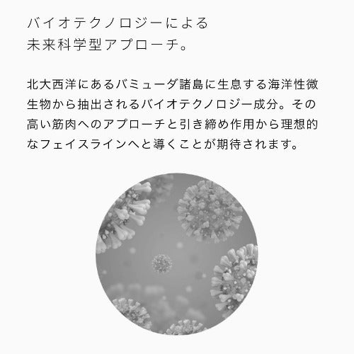 塗る筋トレ』BODY MAKE 4D【お得な割引クーポン付き 3個セット
