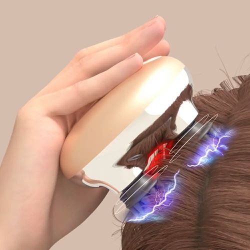 ZOGANKIN SCALP ゾーガンキンスカルプ – Karen美容家セレクト