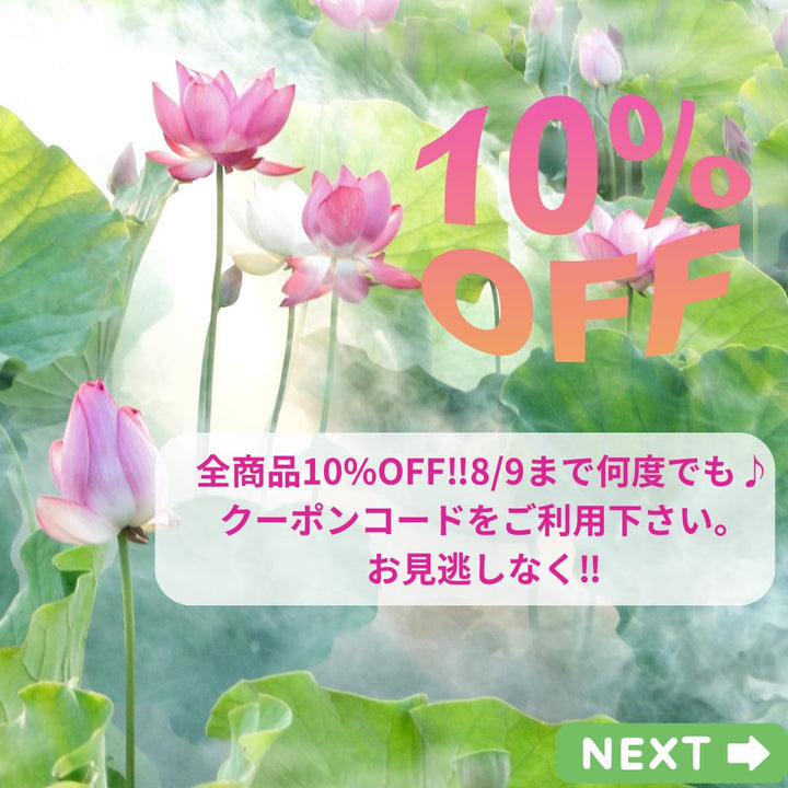 Summer Sale2023!! 全商品10％OFF!! クーポンコードプレゼント♪ご利用期間～8／9