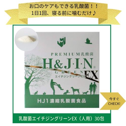 口腔ケアもできる乳酸菌！1日1回、寝る前に噛むだけ♪歯科医師も注目する新時代の乳酸菌とは？