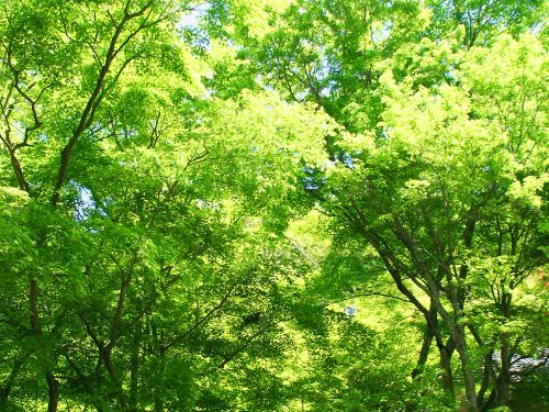 長い夏に負けない、夏前の角質ケア